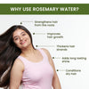 Rosemary Water Hair Spray for Regrowth (Pack of 2 Bottles & 1 Sprayer)